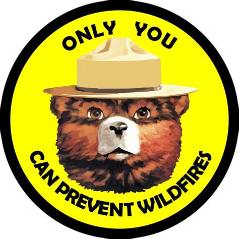 Smokey The Bear Spare Tire Cover Jeep Wrangler Rubicon Rv Etsy