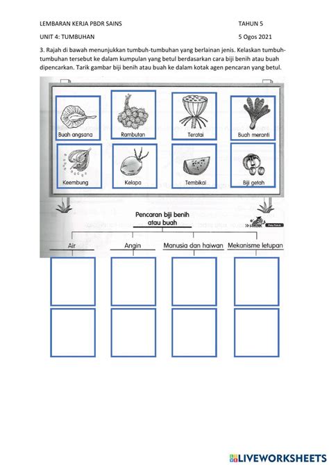 Unit 4 Tumbuhan Tahun 5 Pencaran Biji Benih 3261386