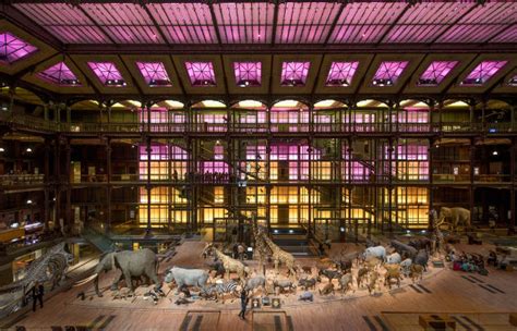 Grande Galerie de l Évolution Muséum national d histoire naturelle