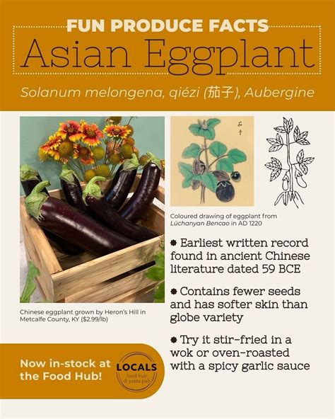 Locals Louisville | Louisville KY