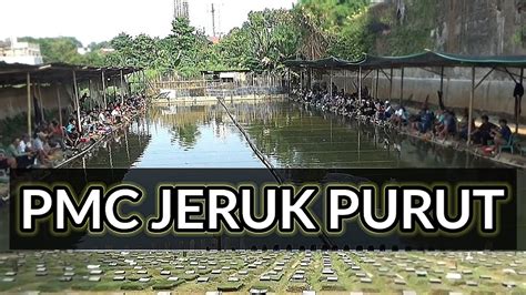 Mancing Di Pmc Jeruk Purut Induk Nya Galak Youtube