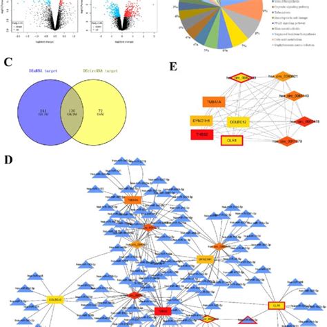 As Related Circrna Mirna Mrna Cerna Network Construction And Analysis