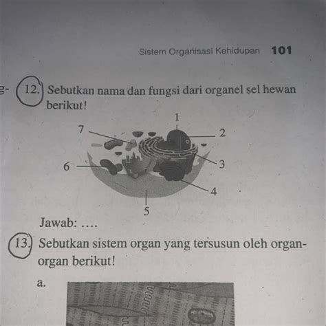 Tolong Di Bantu Yaa Makasihh Brainly Co Id