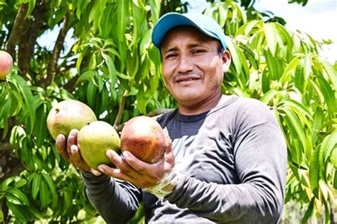 Midagri Economías del APEC comprarán oferta de pequeños agricultores