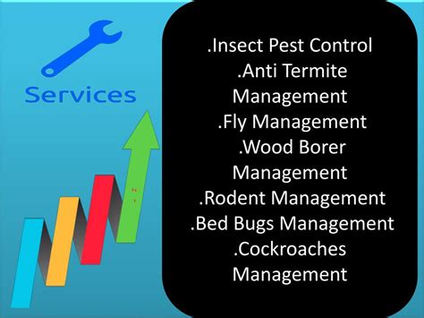 Ppt Outstanding Services Provider In Termite Treatment Gurgaon