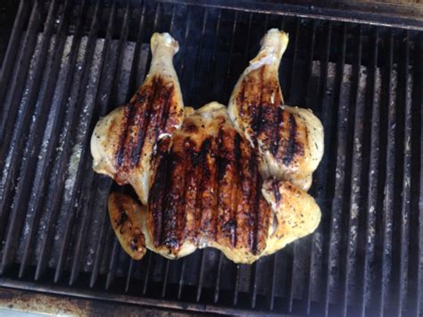 How to Grill a Whole Chicken - TEC Infrared Grills