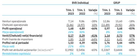 Venituri N Sc Dere Cu Pentru Operatorul Bvb Pe Fondul Unei