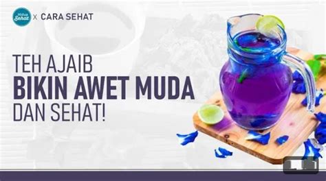 Inilah Manfaat Minum Rebusan Bunga Telang Untuk Kulit Bikin Awet