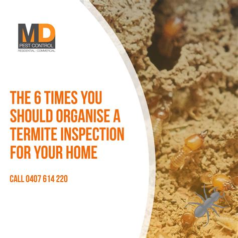 The 6 Times You Should Organise A Termite Inspection For Your Home Md Pest Control