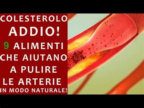 Come Pulire I Vasi Sanguigni Con Le Erbe Farmacia Savonuzzi