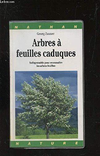 Arbres A Feuilles Caduques Indispensable Pour Reconnaitre Les Arbres