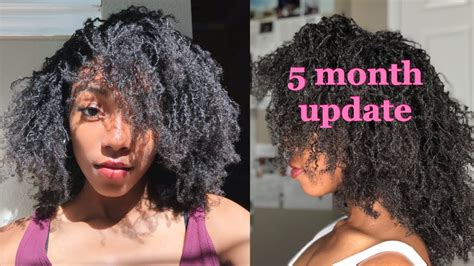 Month Loc Update D I Y Microlocs Two Strand Twists Youtube