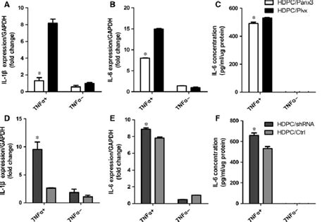 Panx3 Regulates TNF A Induced Inflammatory Cytokine Expression In