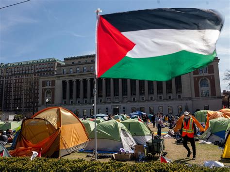 Contra La Guerra En Gaza Las Universidades De Ee Uu Enfrentan Las