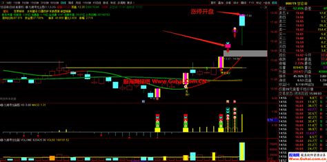通达信【九啸寻龙二板定龙头】主图幅图选股公式 超短线二板定龙头 打板利器 打板必备 源码文件分享 金钻指标 公式网