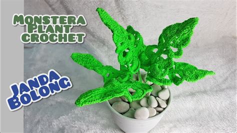 Monstera Plant Crochet Janda Bolong Rajut YouTube