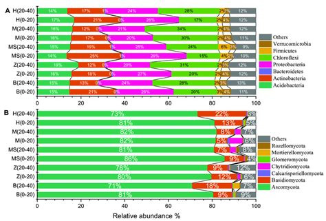 The Community Compositions Of Soil Bacteria A And Fungi B At Phylum