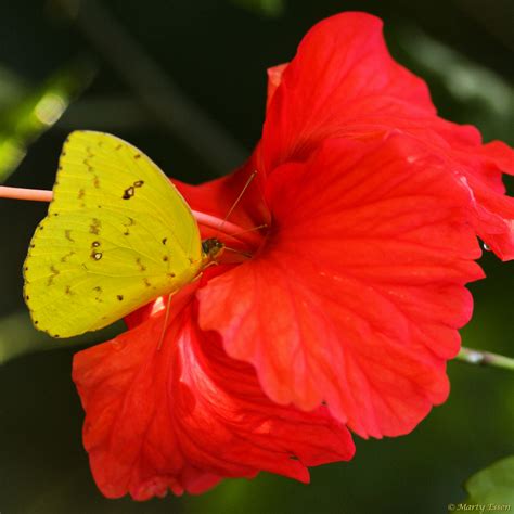 Costa Rica Color Around The World With Marty Essen