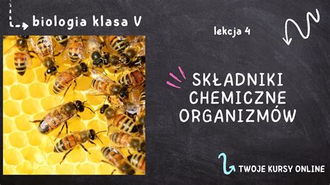 Biologia Klasa Lekcja Sk Adniki Chemiczne Organizm W Youtube