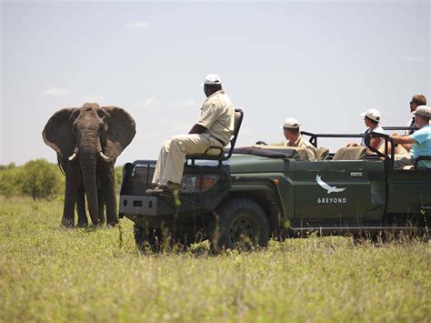 Ngala Safari Lodge | Kruger National Park Luxury Lodges