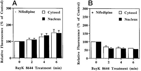 Effect Of Nifedipine On Bayk Induced Changes In Intracellular