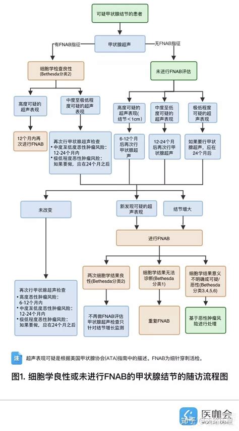 甲状腺超声检查ti Rads分级 知乎