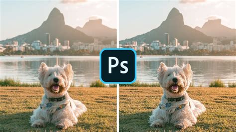 Como Aumentar A NITIDEZ Das Suas Fotos De FORMA SIMPLES YouTube