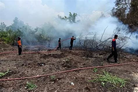 Pemkab Nagekeo Larang Warga Berburu Dengan Cara Membakar Lahan Dan