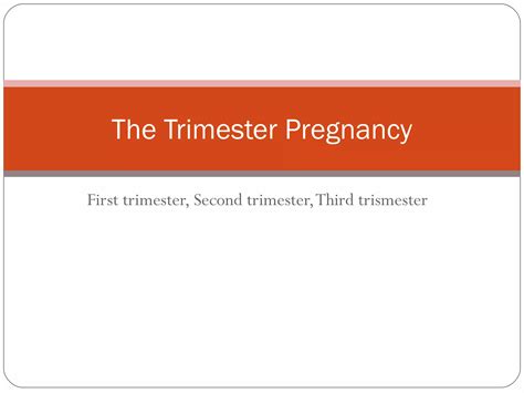 The Trimester Pregnancy Ppt