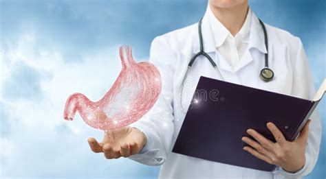 Doctor Gastroenterologist Shows The Stomach Stock Image Image Of Human Clinic 107997601