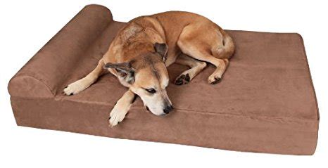 Big Barker Dog Bed Reviews: How It Supports Your Dog & You