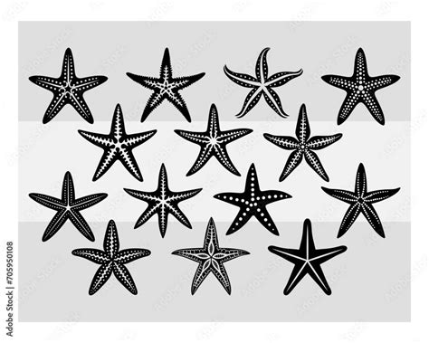 Starfish Svg Beach Svg Ocean Svg Starfish Cut Files Starfish