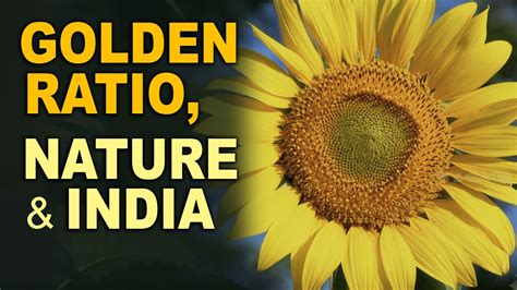 Golden Ratio Nature And India Discoveries Of Ancient India Go It