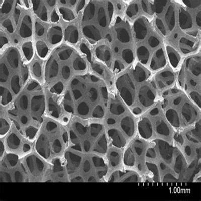 The CVD Growth Graphene Foam Three Dimensional Graphene Foam The CVD