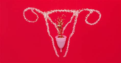 Causas Sangre Flujo Vaginal Salud