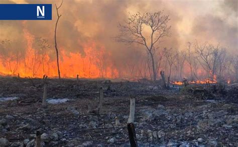 Procivy temporada de incendios en Yucatán tranquila