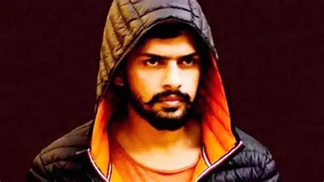 canada labels lawrence bishnoi gang  terrorist organization  thaw