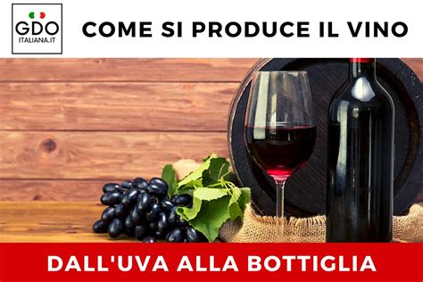 Come Si Produce Il Vino Trucchi E Segreti Del Mestiere Gdoitaliana It