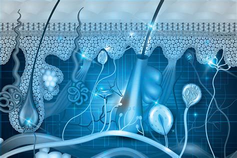 Regenerative Tissue For Advanced Wound Care Healthtrust Education