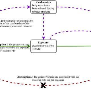 Mendelian Randomization Model Of Glycated Hemoglobin Hba C And Risk