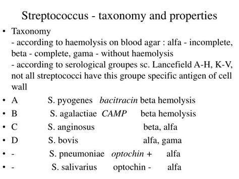 Ppt Practical No2 Winter Term Streptococcal Infections Powerpoint