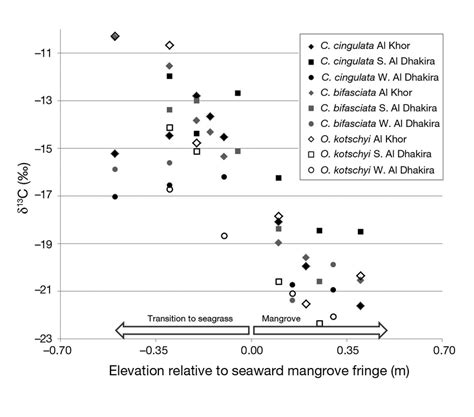 Carbon Isotopic Signatures Of Sediment Grazers Sampled Along Transects