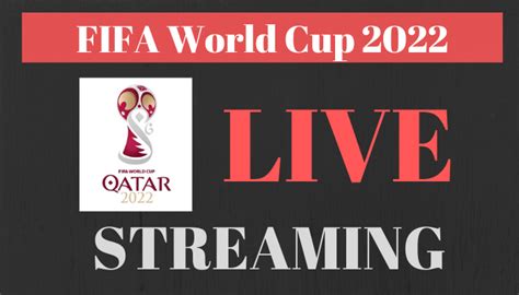 Fifa World Cup Final Live Streaming Sports Nile