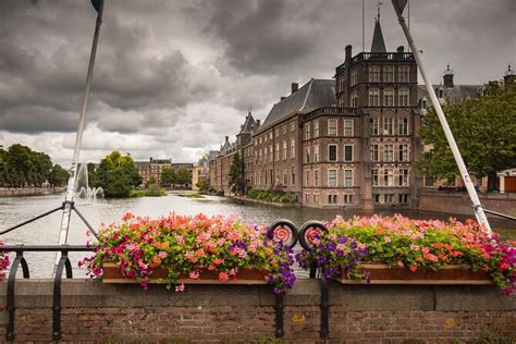 Amsterdam Rotterdam Delft The Hague Live Guided Day Tour Odyssey