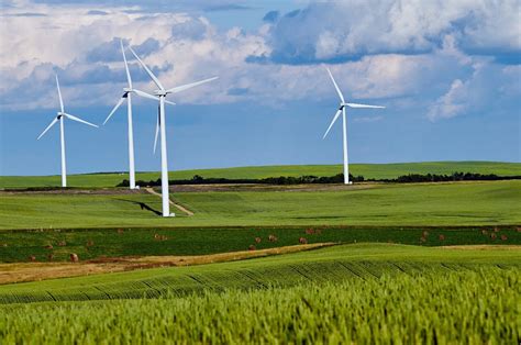 ¿qué Es La Energía Verde Descubre Los Tipos Y Ventajas Gorlan