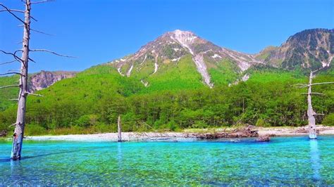 4k映像 絶景「新緑の上高地 梓川と焼岳 大正池上流」 日本の美しい四季 長野県松本市 5月下旬 自然風景 上高地 風景 長野