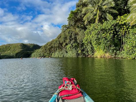 Wailua River Kayak Tour What To Expect Tours And Tips 2025