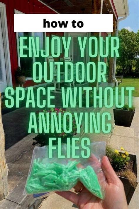 Best Non Toxic Homemade Fly Repellent Artofit