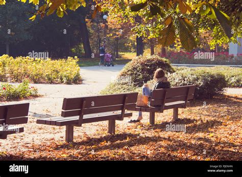 Vieille Dame Assise Sur Un Banc En Bois Banque De Photographies Et D