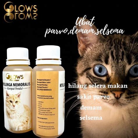 Ubat Virus Parvo Untuk Kucing Booster Glows Air Rebusan Rumput